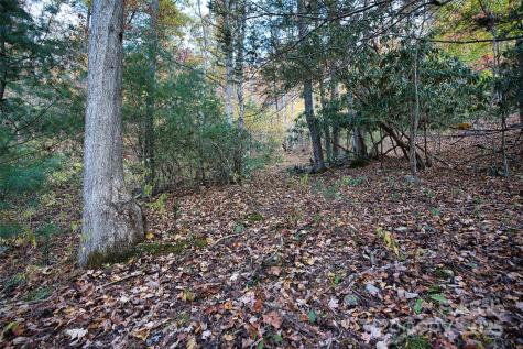 366 Renfro Road Green Mountain NC 28740