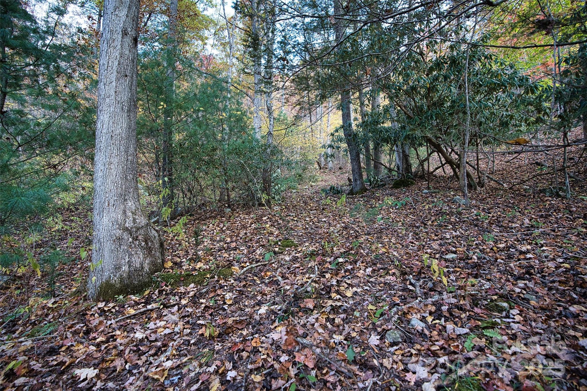 366 Renfro Road Green Mountain NC 28740