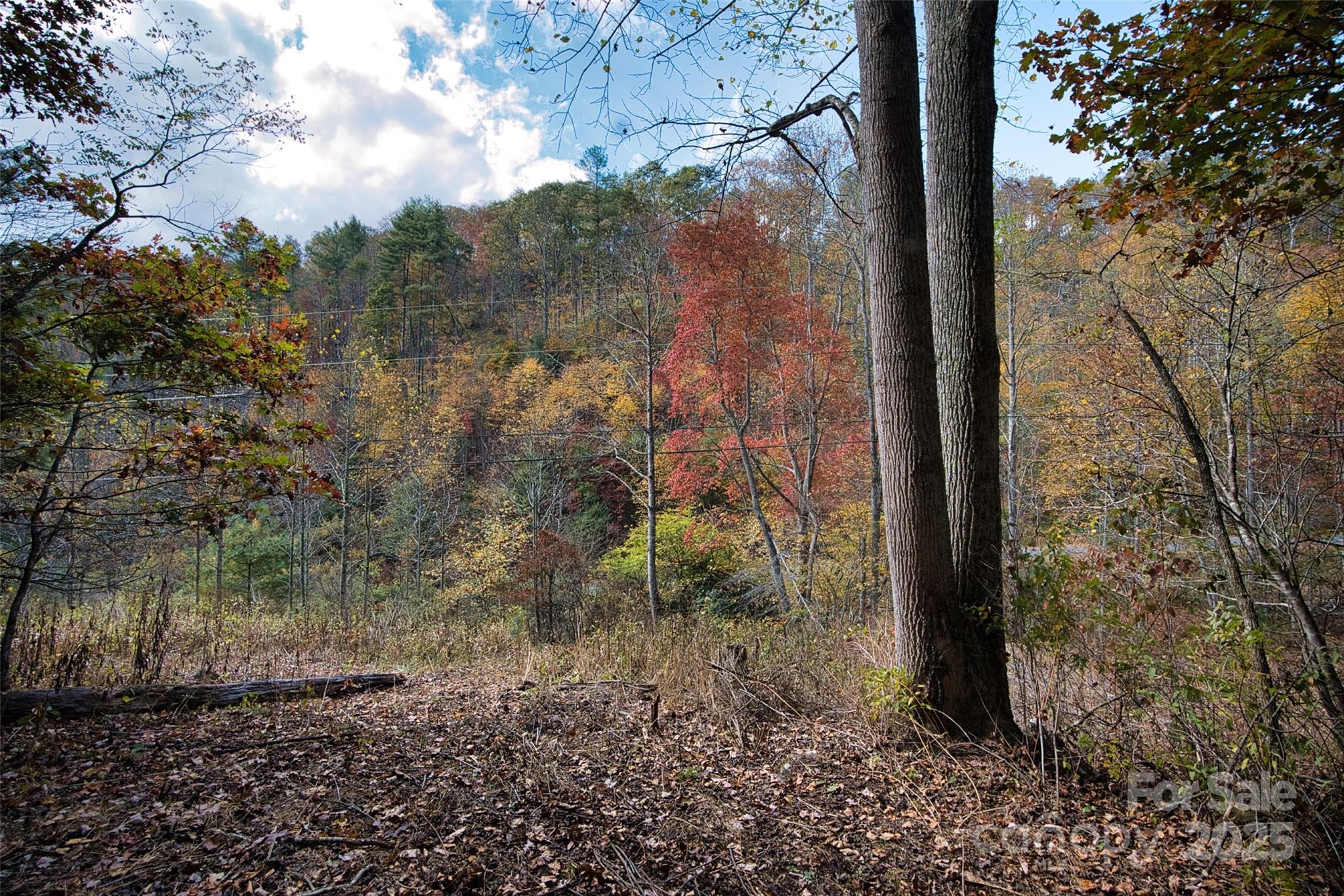 366 Renfro Road Green Mountain NC 28740
