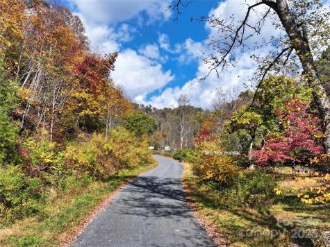 366 Renfro Road Green Mountain NC 28740