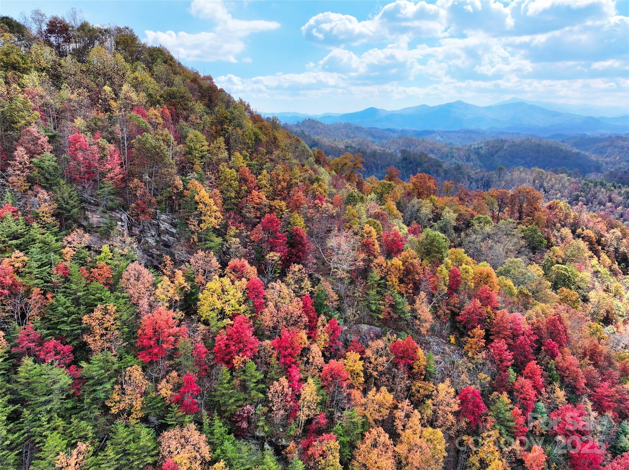 366 Renfro Road Green Mountain NC 28740