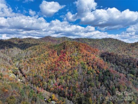 366 Renfro Road Green Mountain NC 28740
