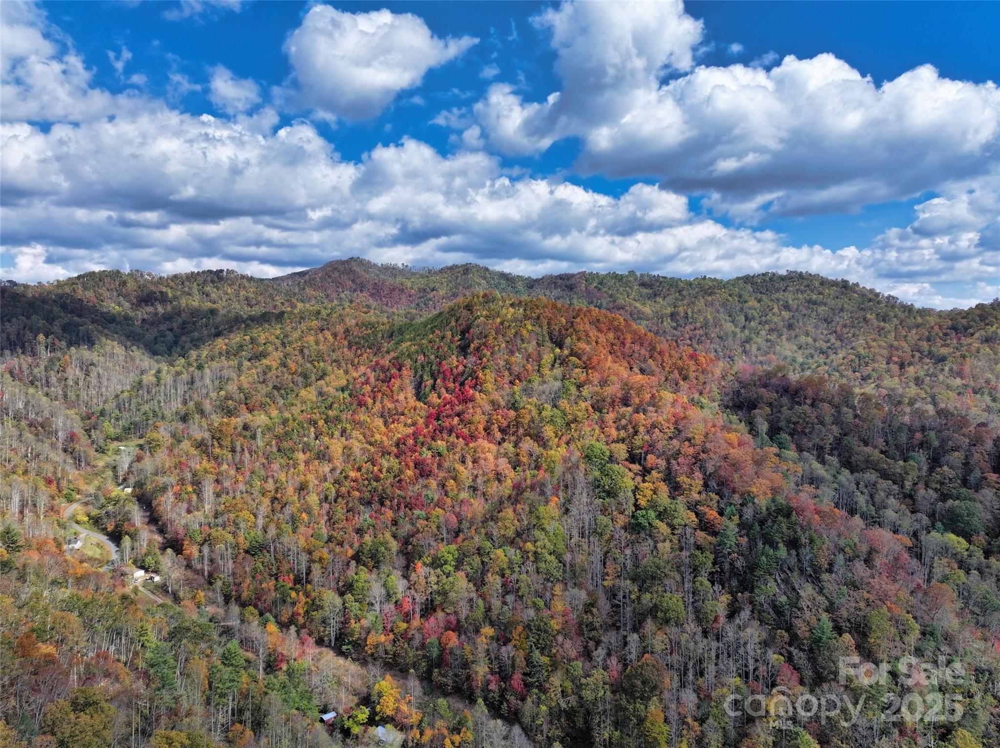 366 Renfro Road Green Mountain NC 28740