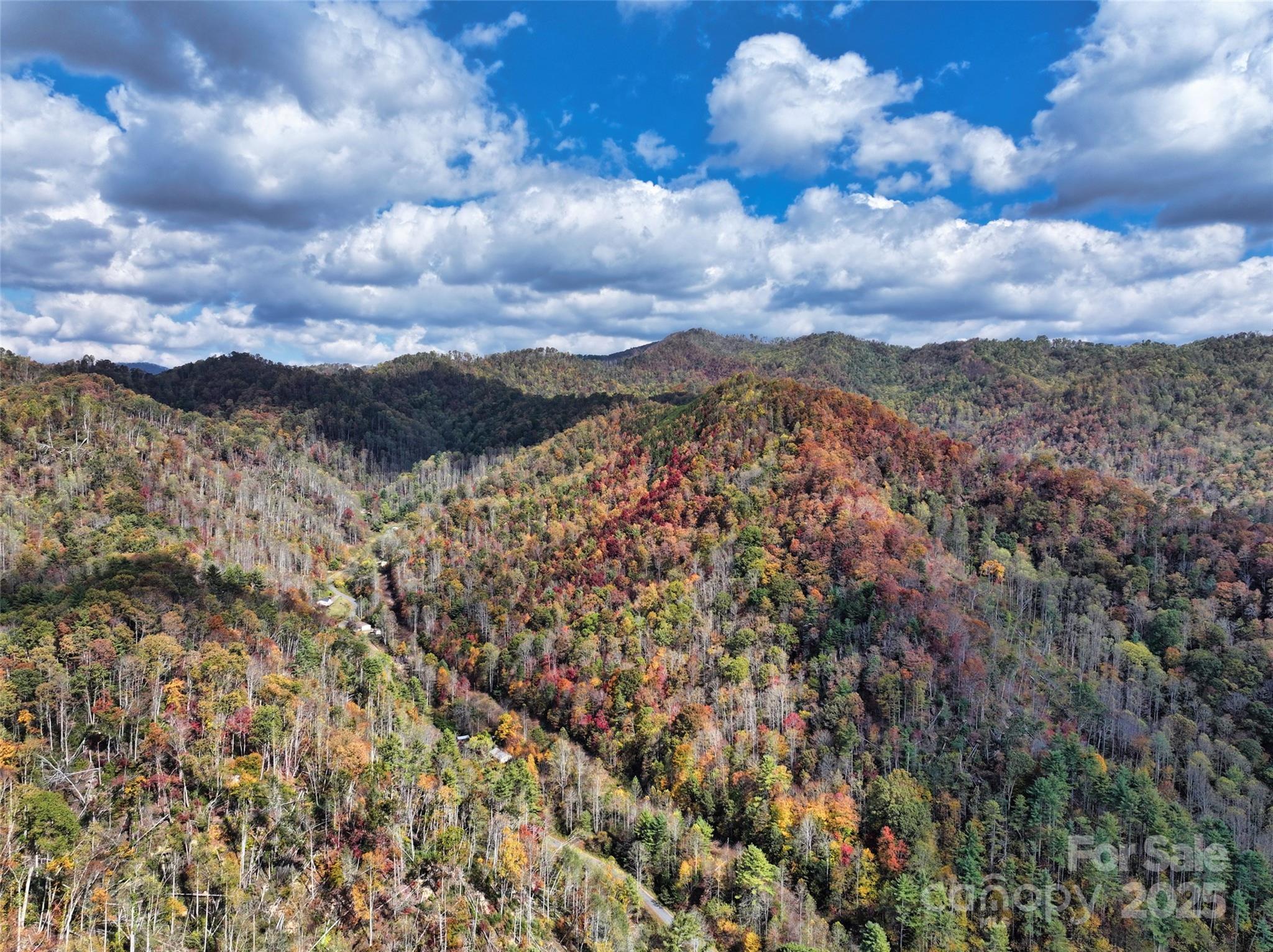 366 Renfro Road Green Mountain NC 28740
