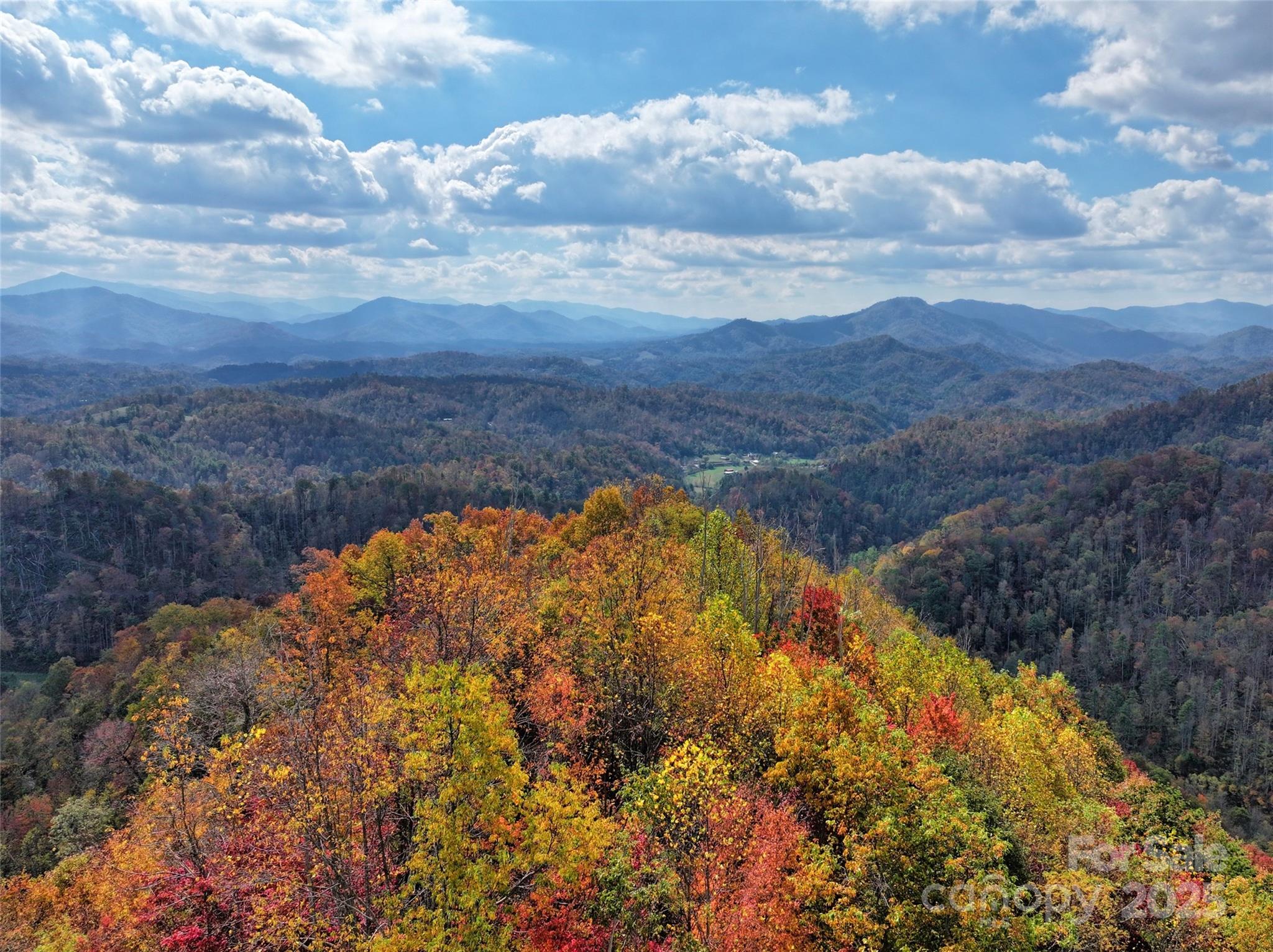 366 Renfro Road Green Mountain NC 28740