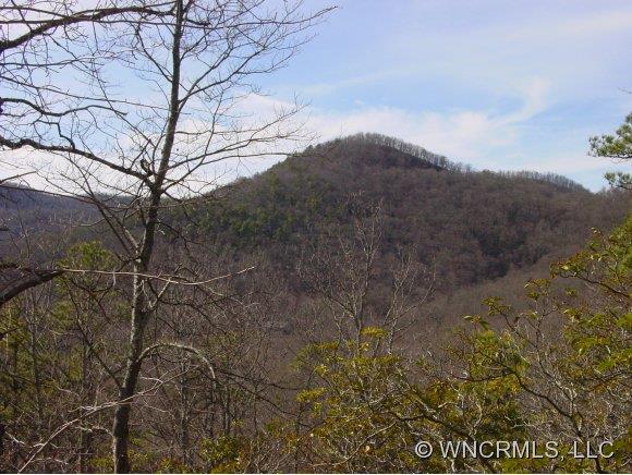 60 Smokey Ridge Trail Arden NC 28704