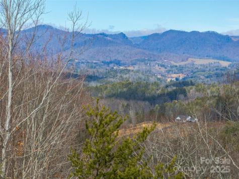 99999 -2 Barnardsville Highway Weaverville NC 28787