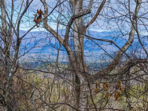 99999 -2 Barnardsville Highway Weaverville NC 28787