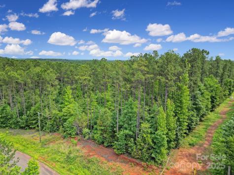 Lot 10 Goings Road Chester SC 29706