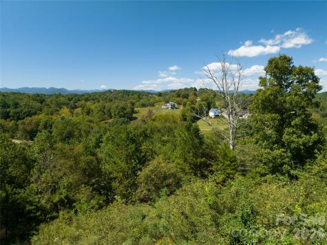 68 Sweet Fern Parkway Asheville NC 28804