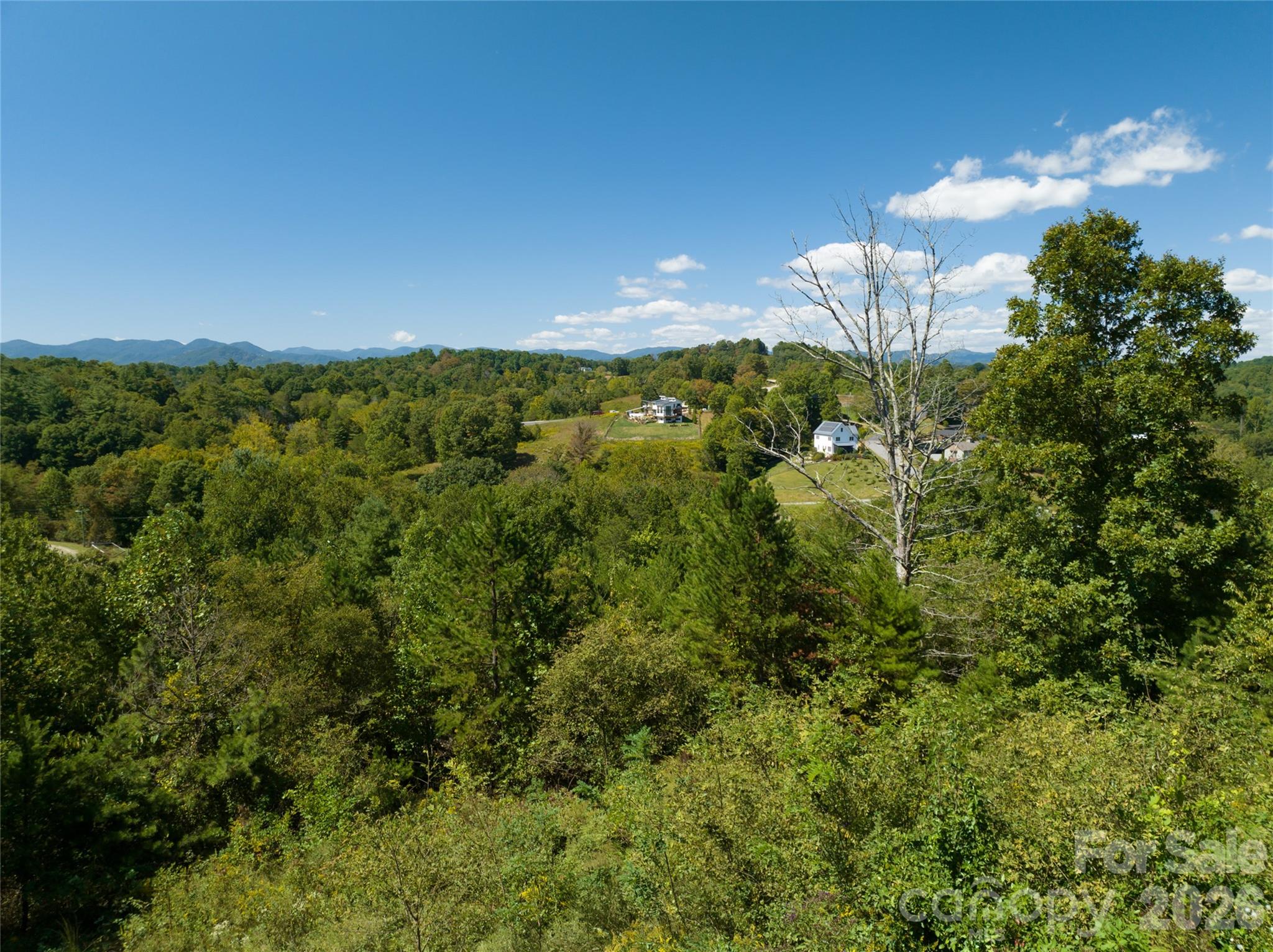 68 Sweet Fern Parkway Asheville NC 28804