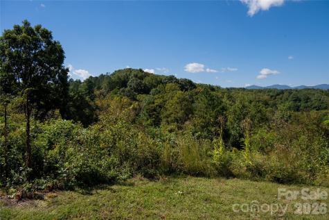 68 Sweet Fern Parkway Asheville NC 28804