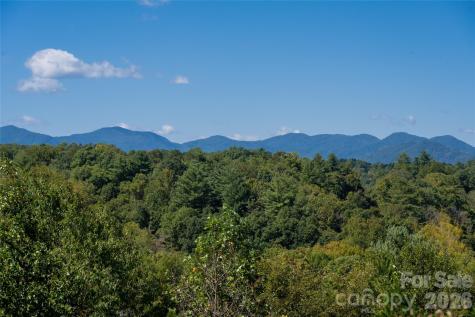 68 Sweet Fern Parkway Asheville NC 28804