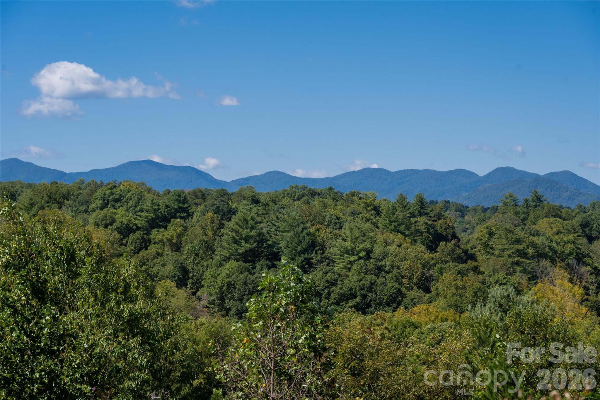 68 Sweet Fern Parkway Asheville NC 28804