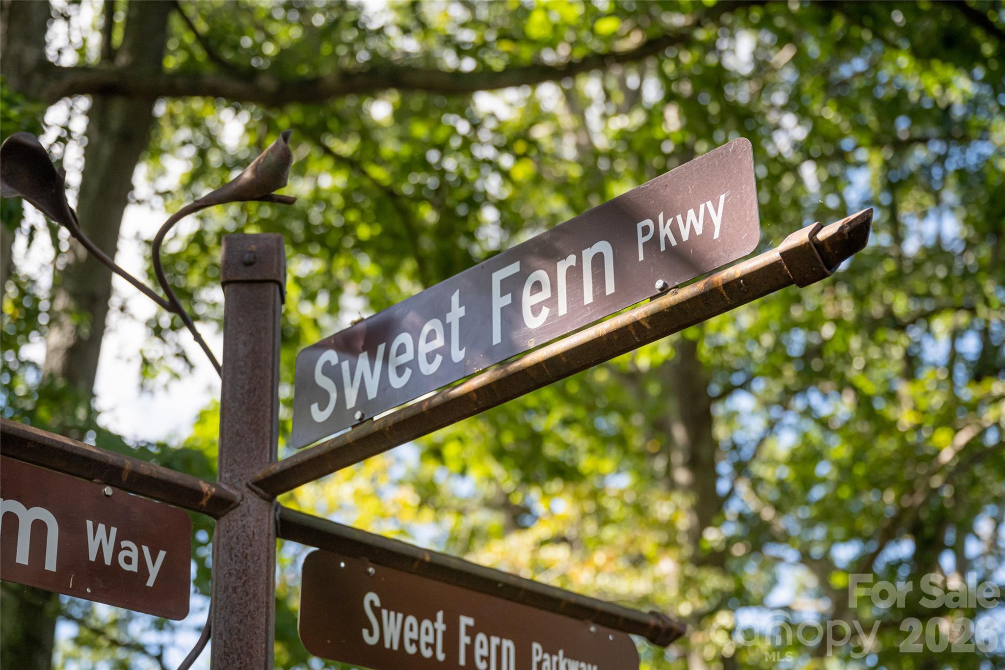 68 Sweet Fern Parkway Asheville NC 28804