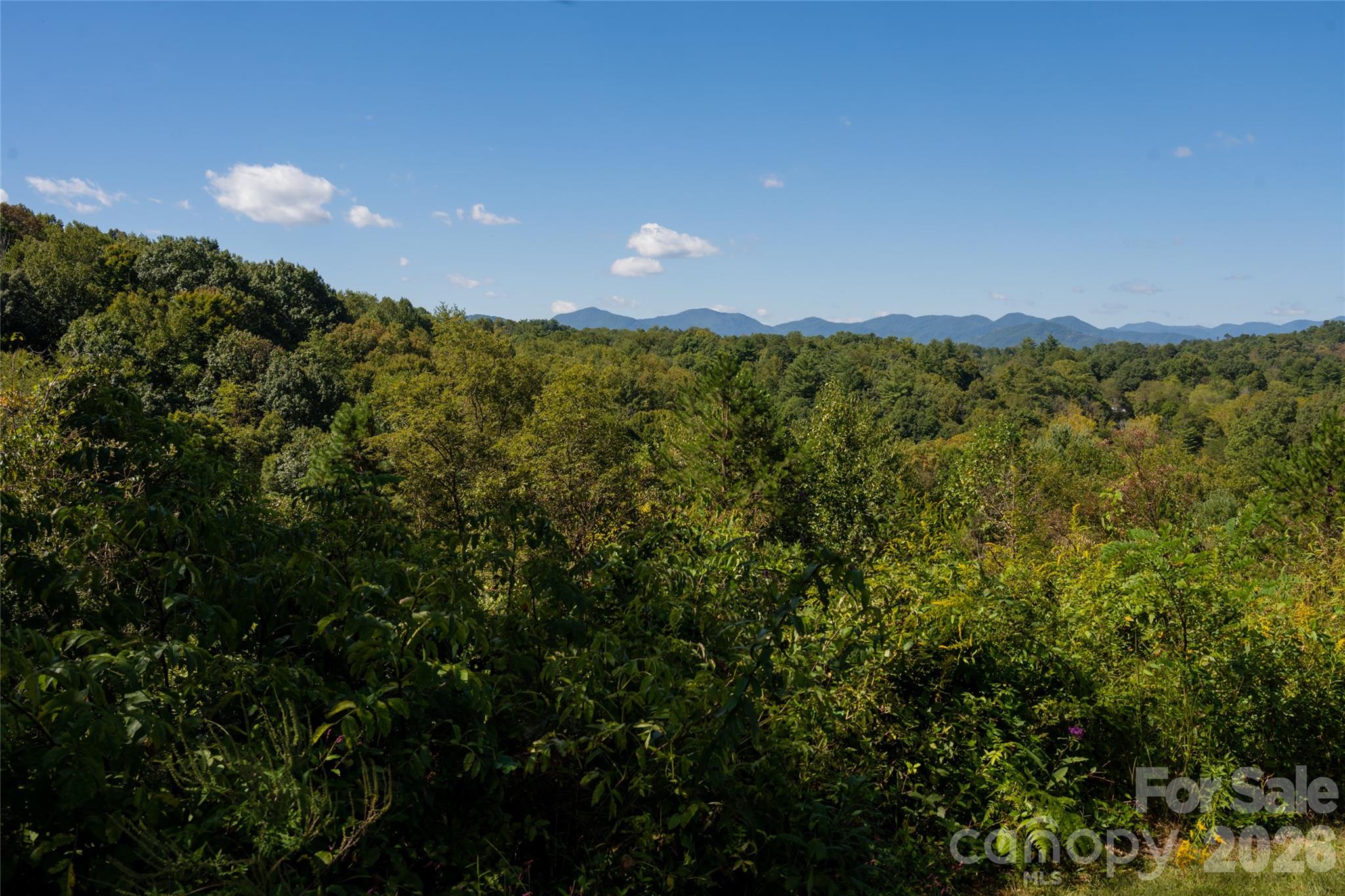 68 Sweet Fern Parkway Asheville NC 28804