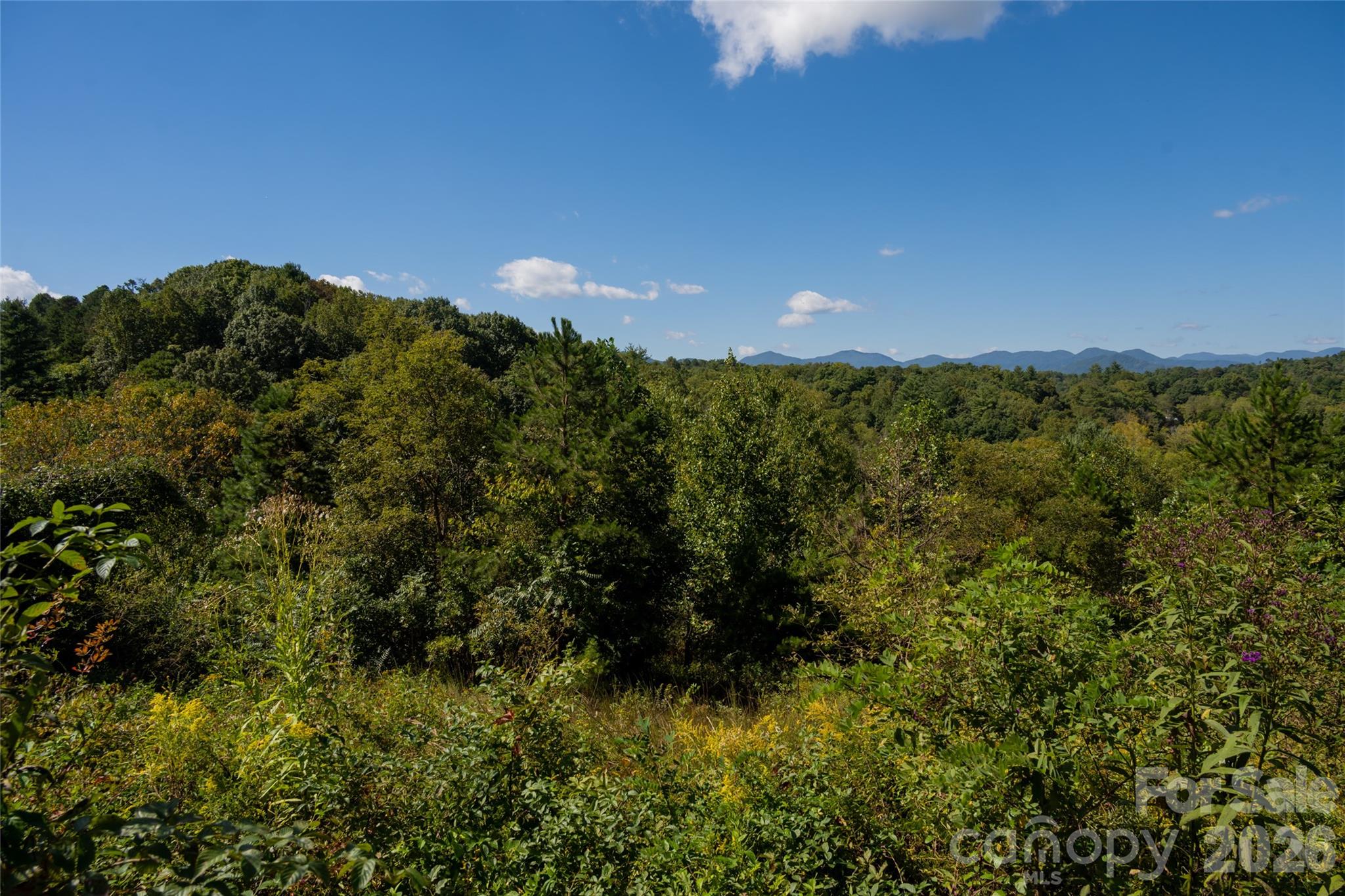 68 Sweet Fern Parkway Asheville NC 28804