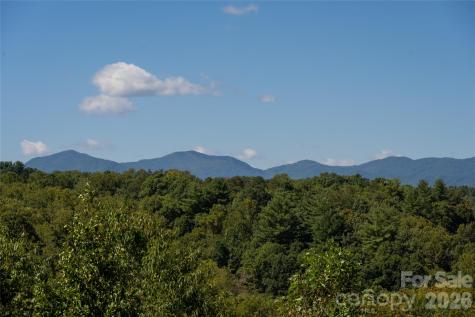 68 Sweet Fern Parkway Asheville NC 28804