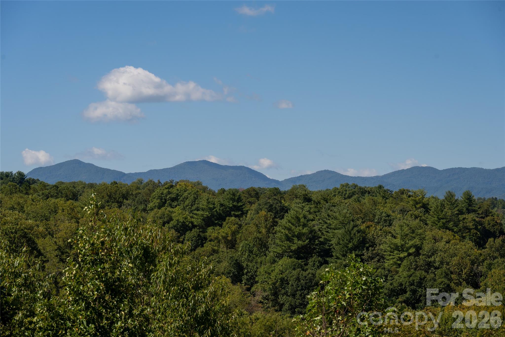 68 Sweet Fern Parkway Asheville NC 28804