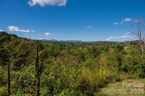 68 Sweet Fern Parkway Asheville NC 28804