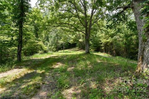 Lot 13 The Vines Boulevard Marshall NC 28753