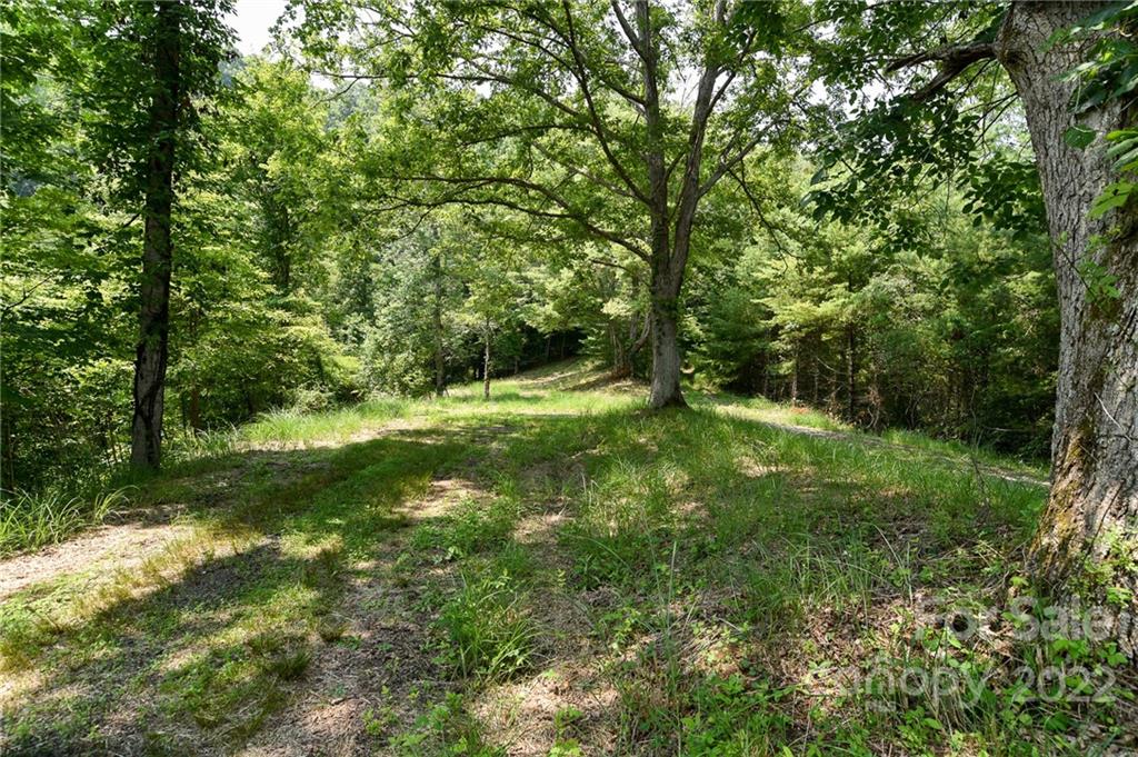 Lot 13 The Vines Boulevard Marshall NC 28753
