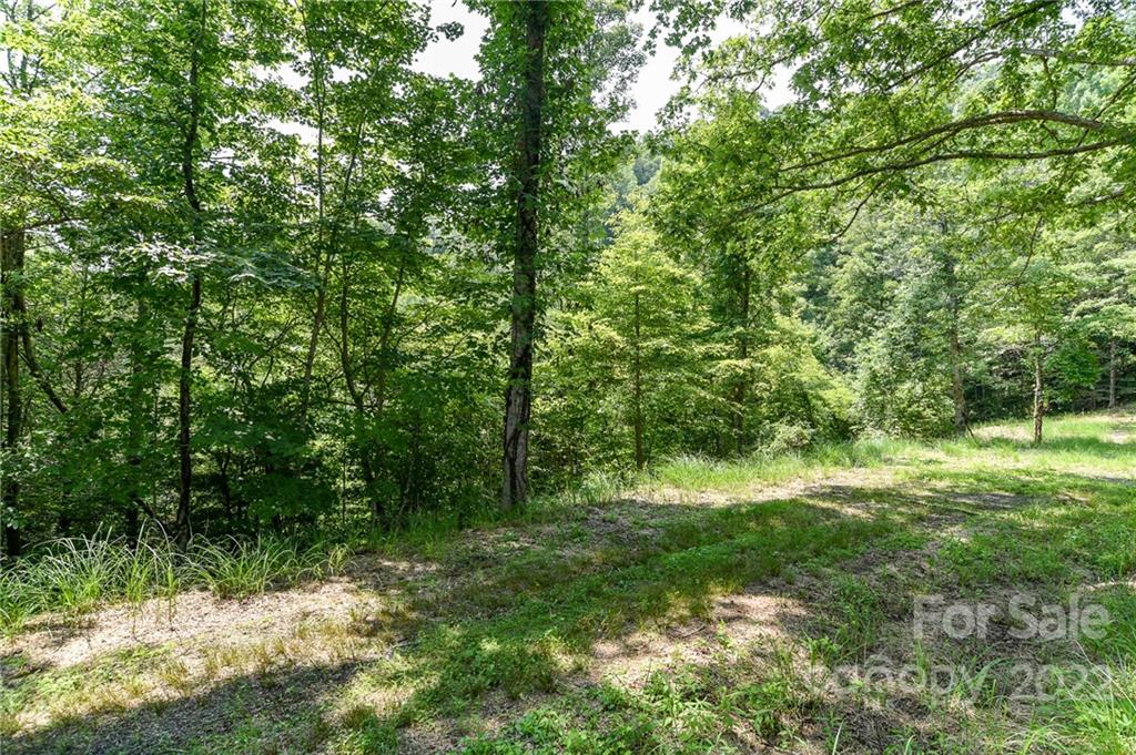 Lot 13 The Vines Boulevard Marshall NC 28753