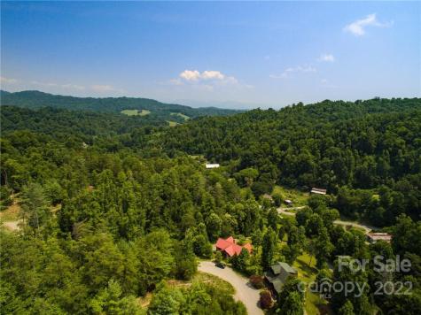 Lot 13 The Vines Boulevard Marshall NC 28753