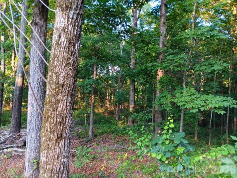 11610 Brief Road Charlotte NC 28227