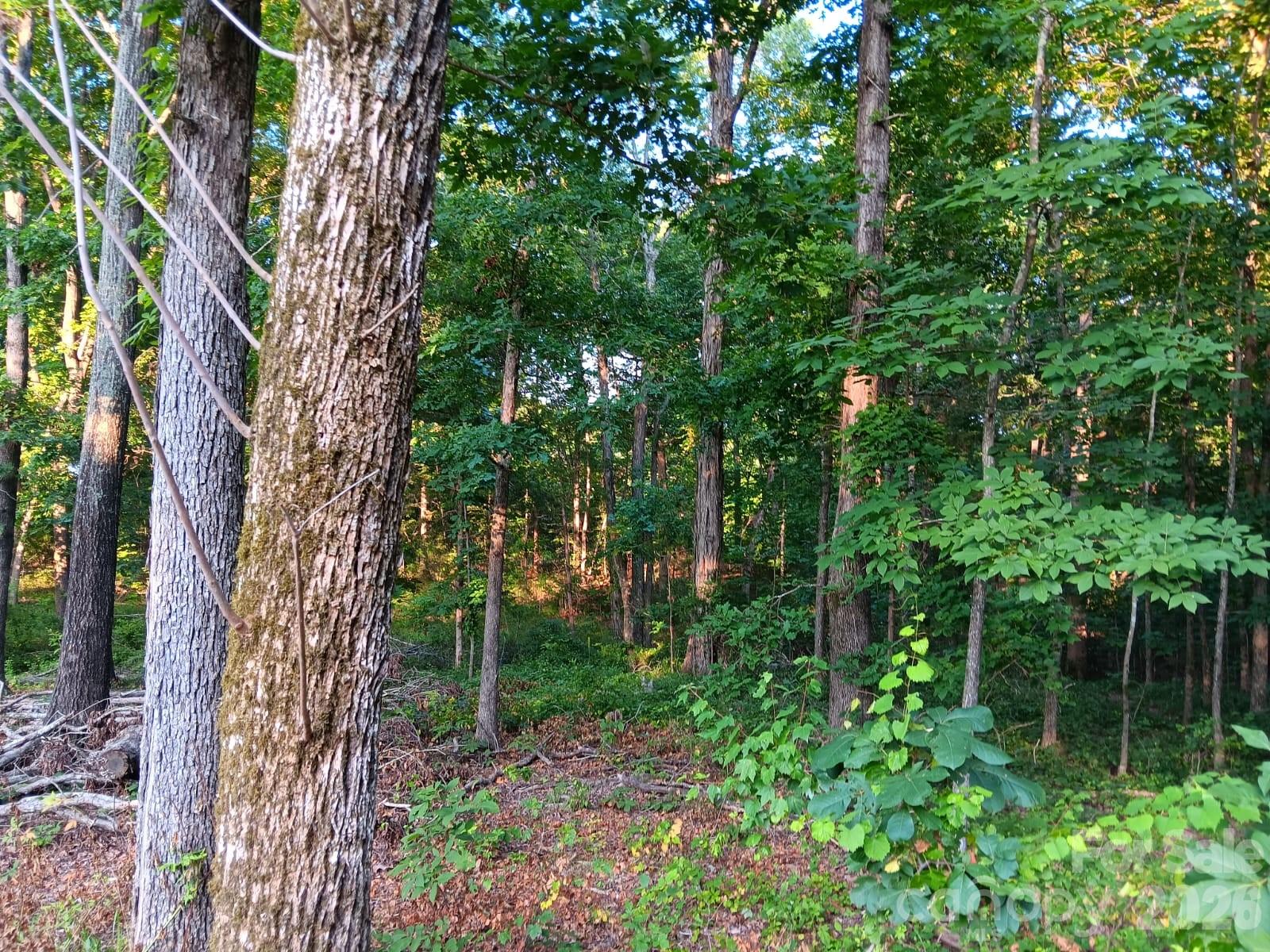 11610 Brief Road Charlotte NC 28227
