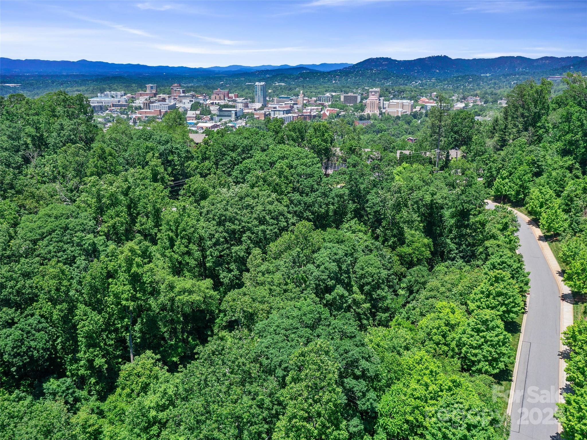 44 Samuel Ashe Drive Asheville NC 28805