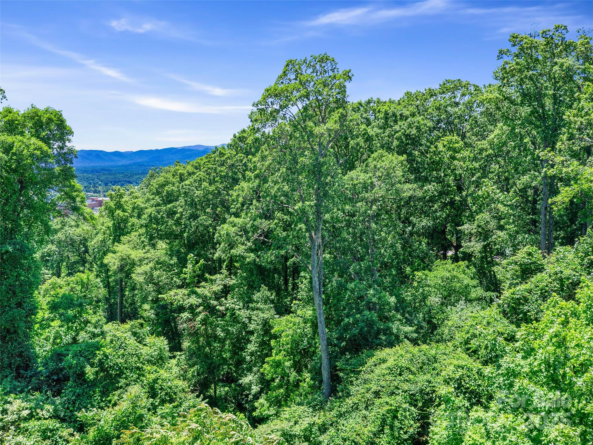 44 Samuel Ashe Drive Asheville NC 28805