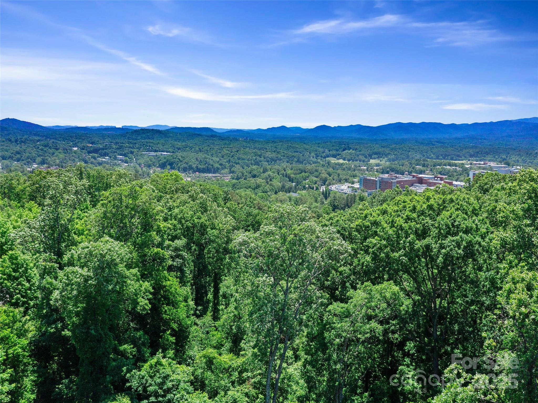 44 Samuel Ashe Drive Asheville NC 28805