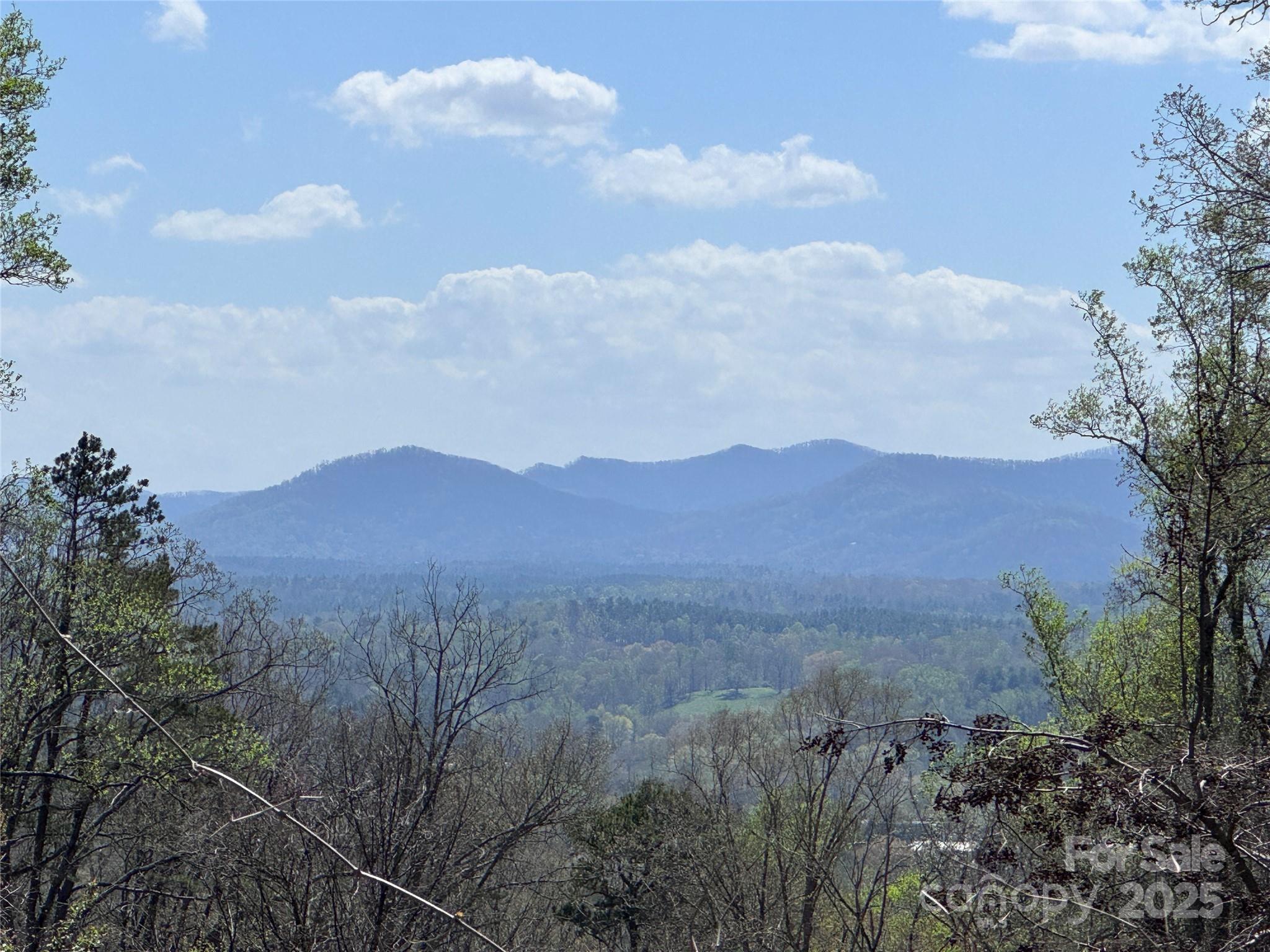 44 Samuel Ashe Drive Asheville NC 28805