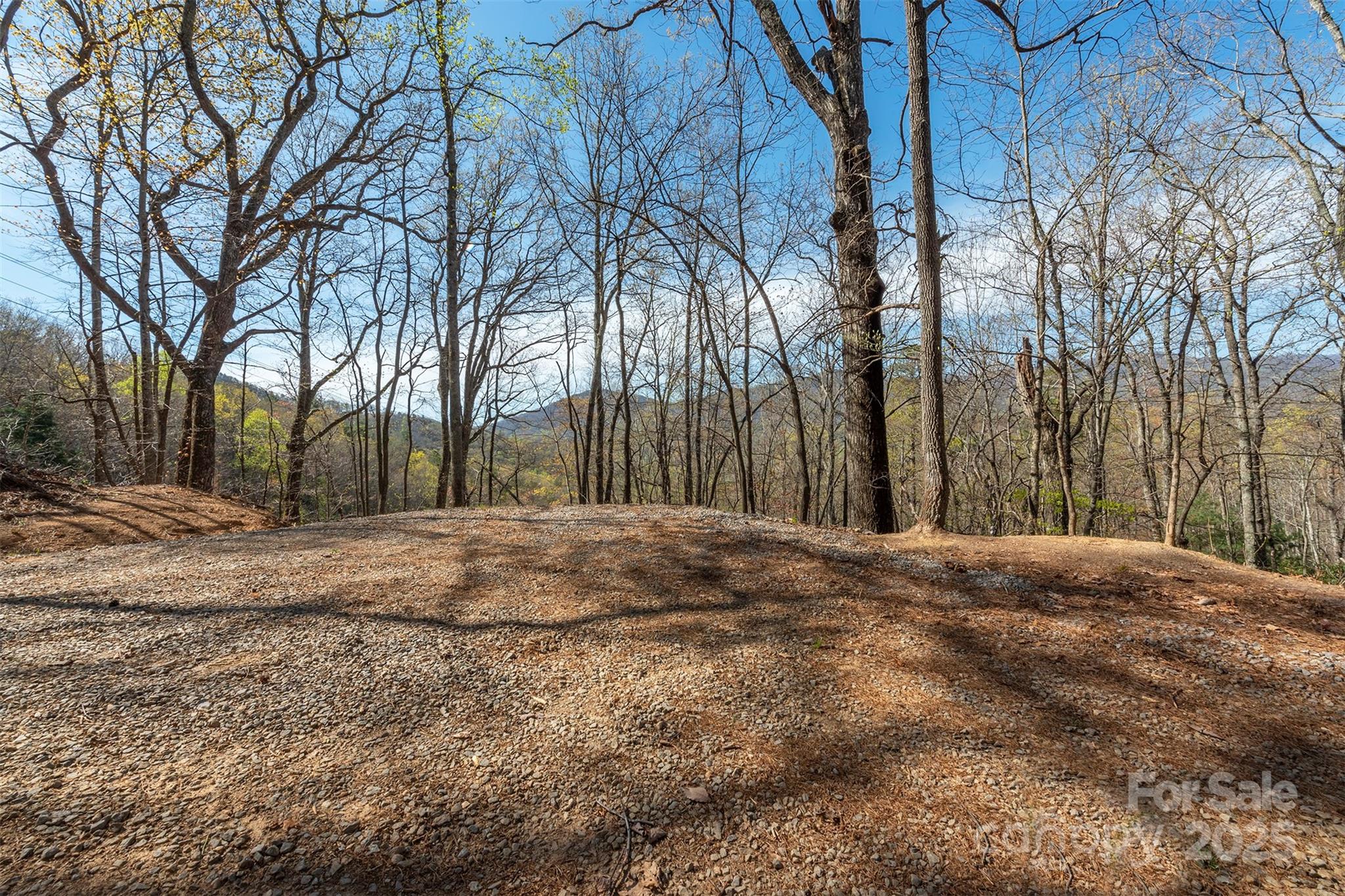 99999 Sunset Drive Black Mountain NC 28711