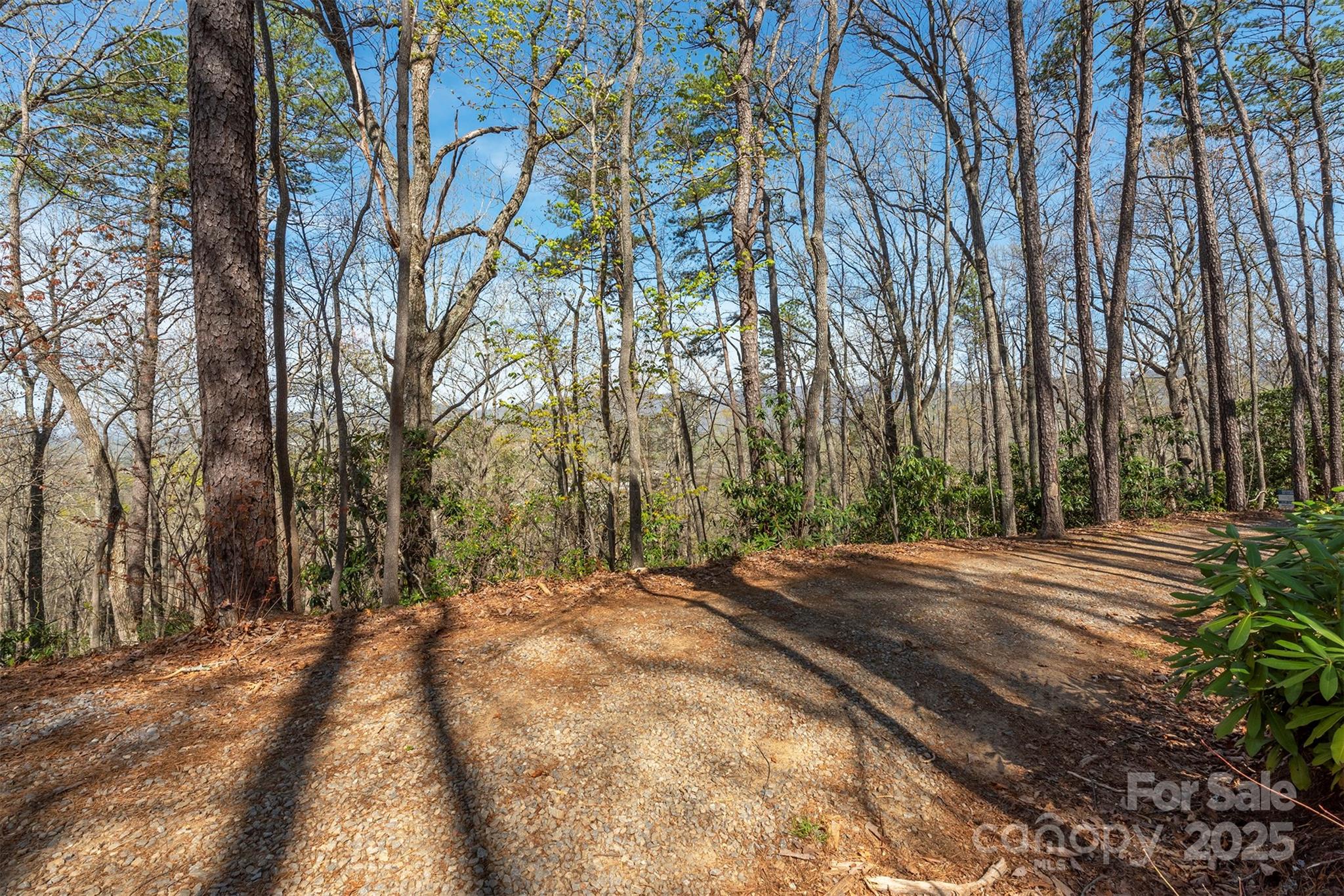 99999 Sunset Drive Black Mountain NC 28711