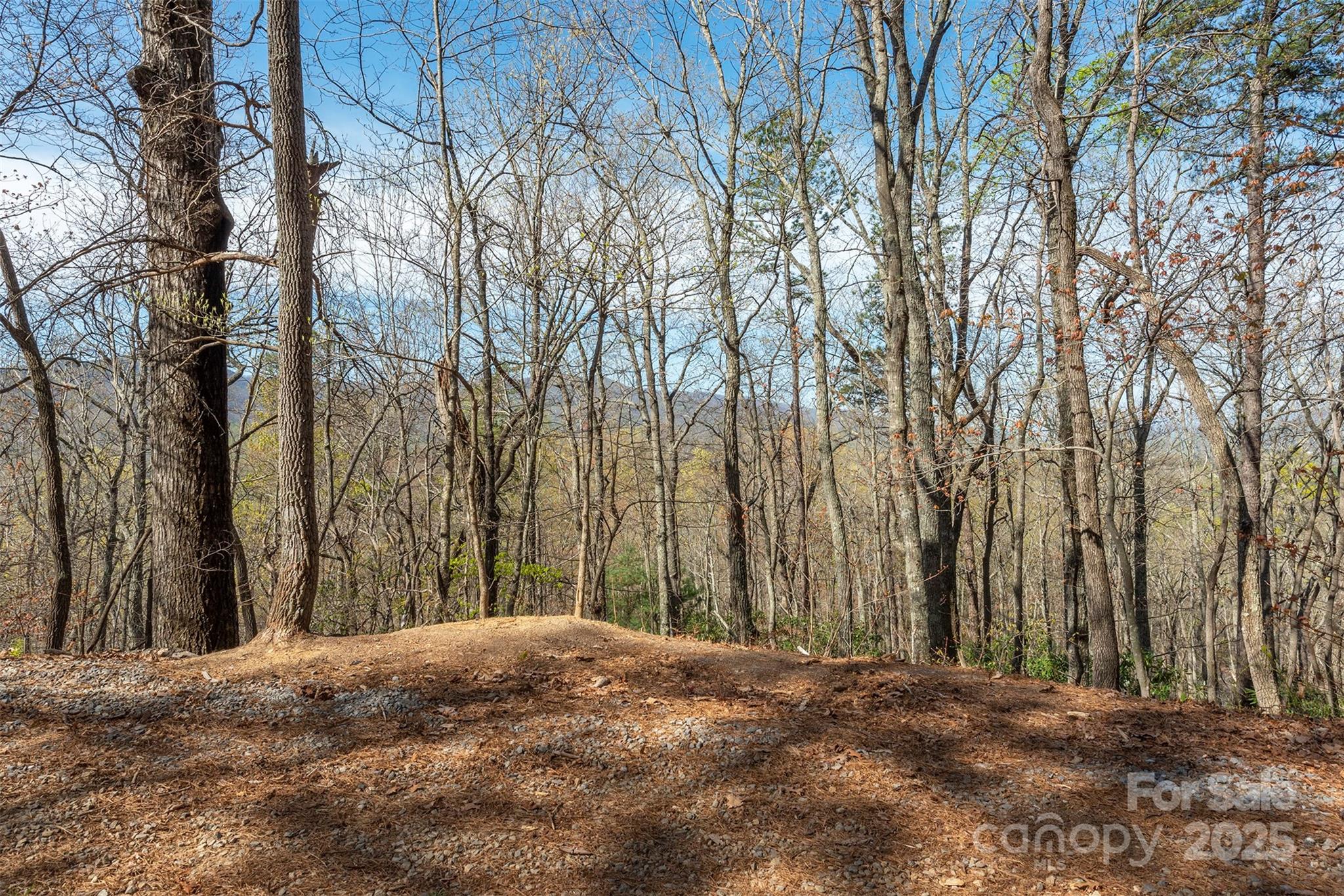 99999 Sunset Drive Black Mountain NC 28711