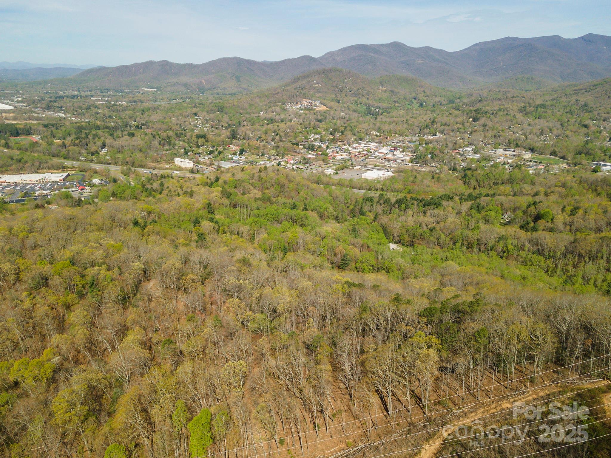99999 Sunset Drive Black Mountain NC 28711