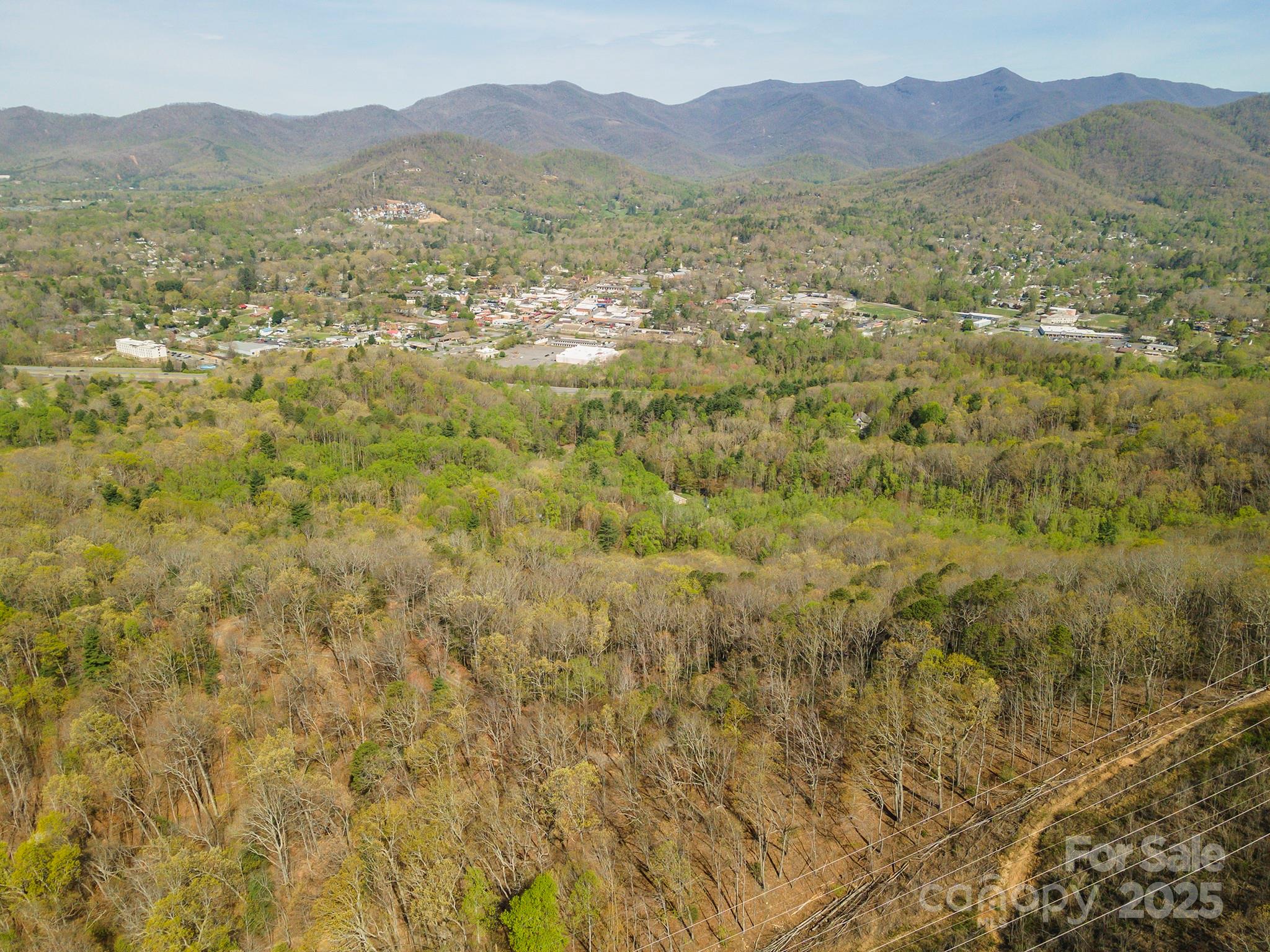 99999 Sunset Drive Black Mountain NC 28711