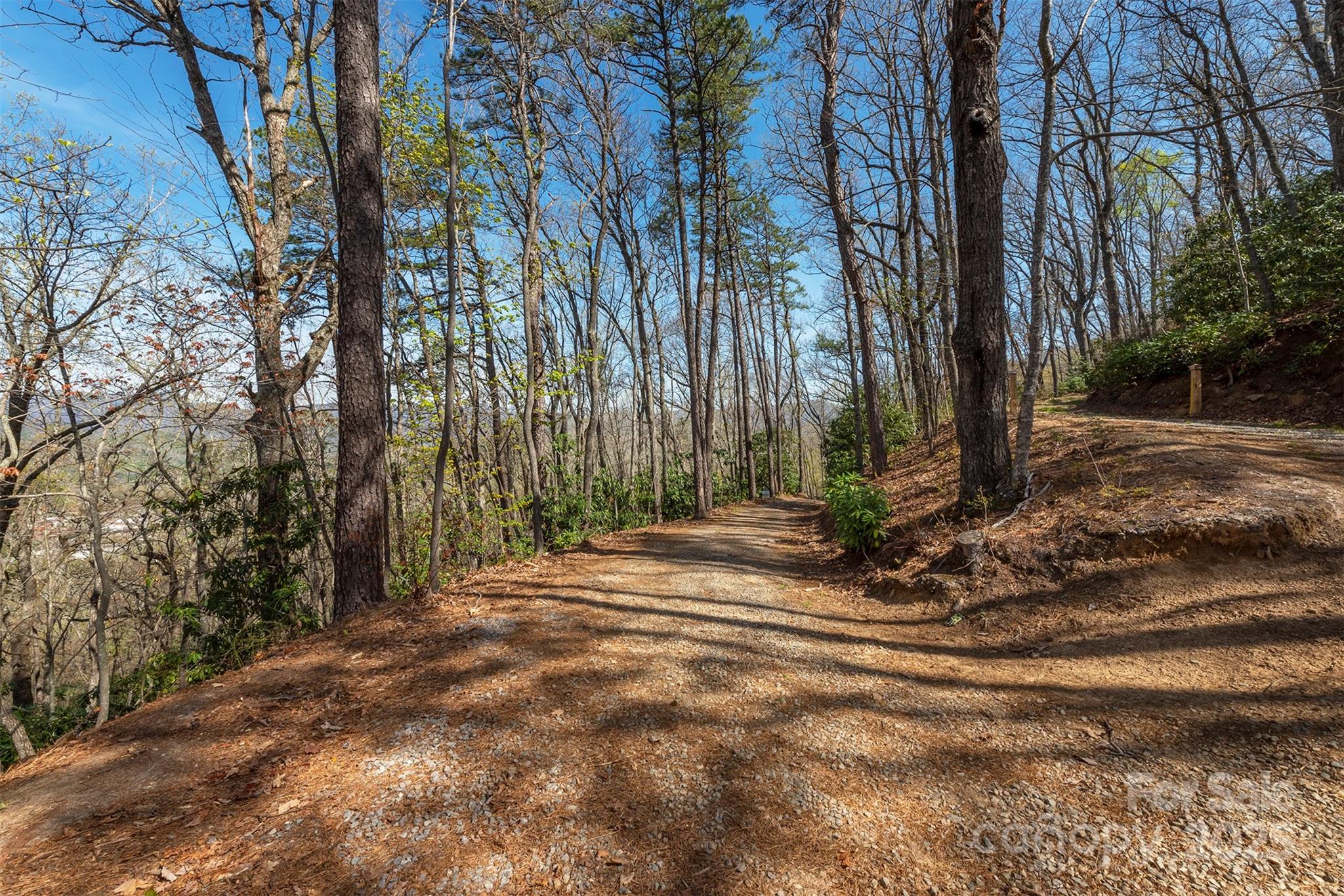 99999 Sunset Drive Black Mountain NC 28711