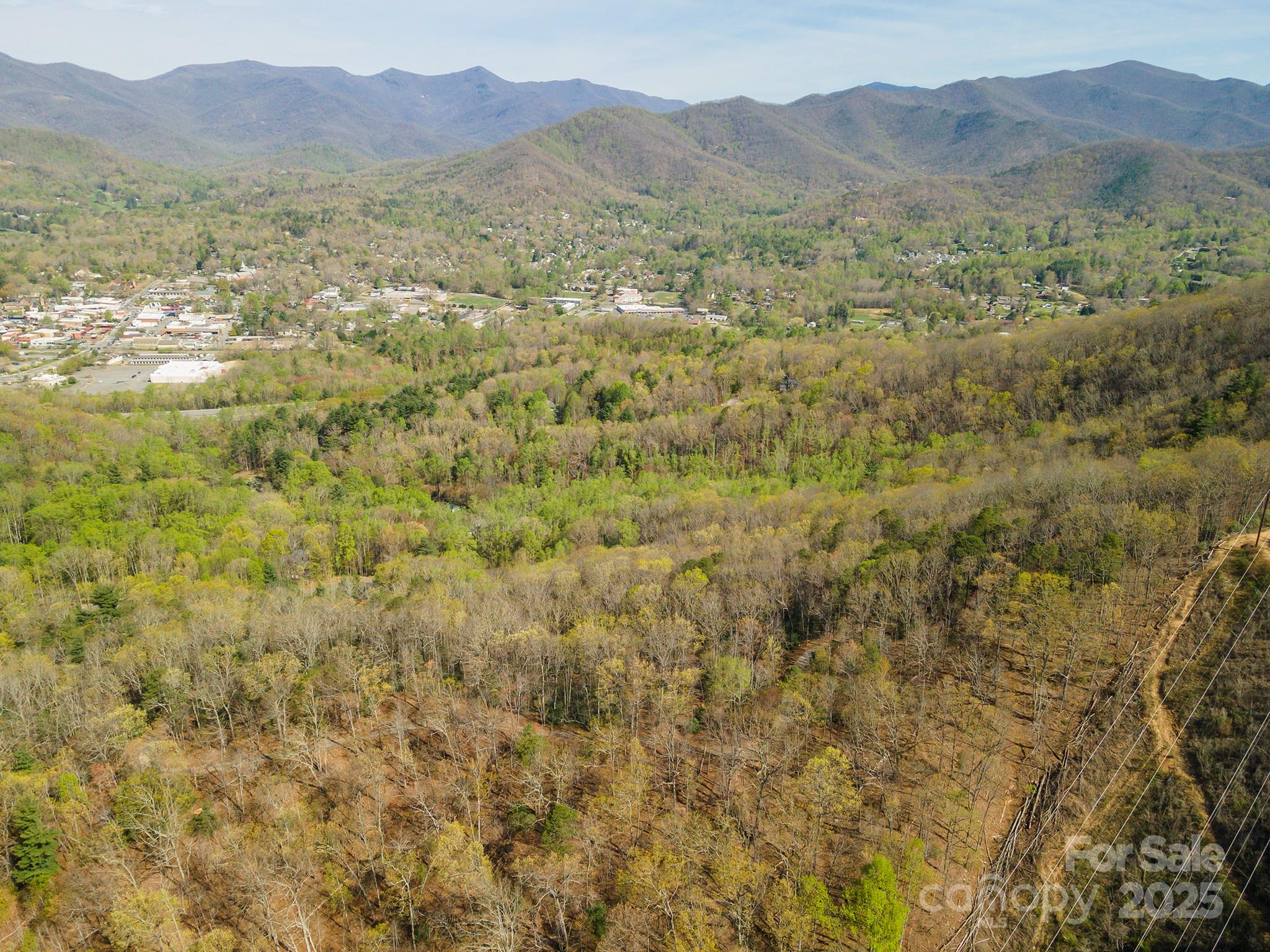 99999 Sunset Drive Black Mountain NC 28711