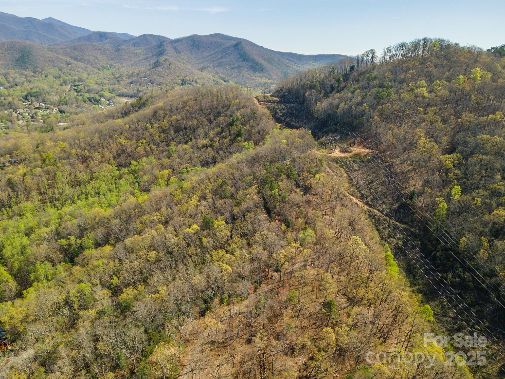 99999 Sunset Drive Black Mountain NC 28711