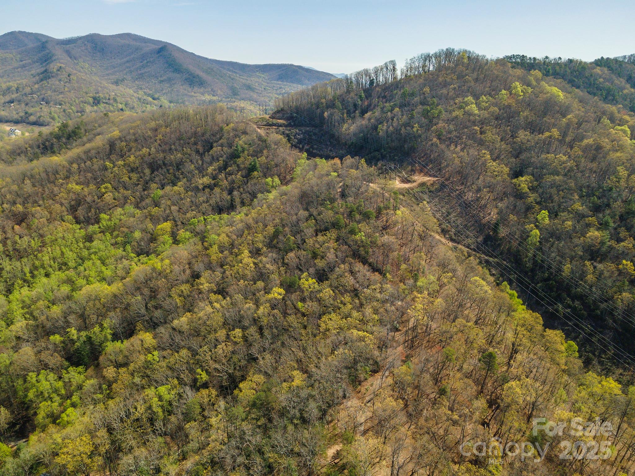 99999 Sunset Drive Black Mountain NC 28711