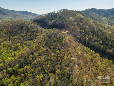 99999 Sunset Drive Black Mountain NC 28711