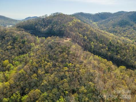 99999 Sunset Drive Black Mountain NC 28711