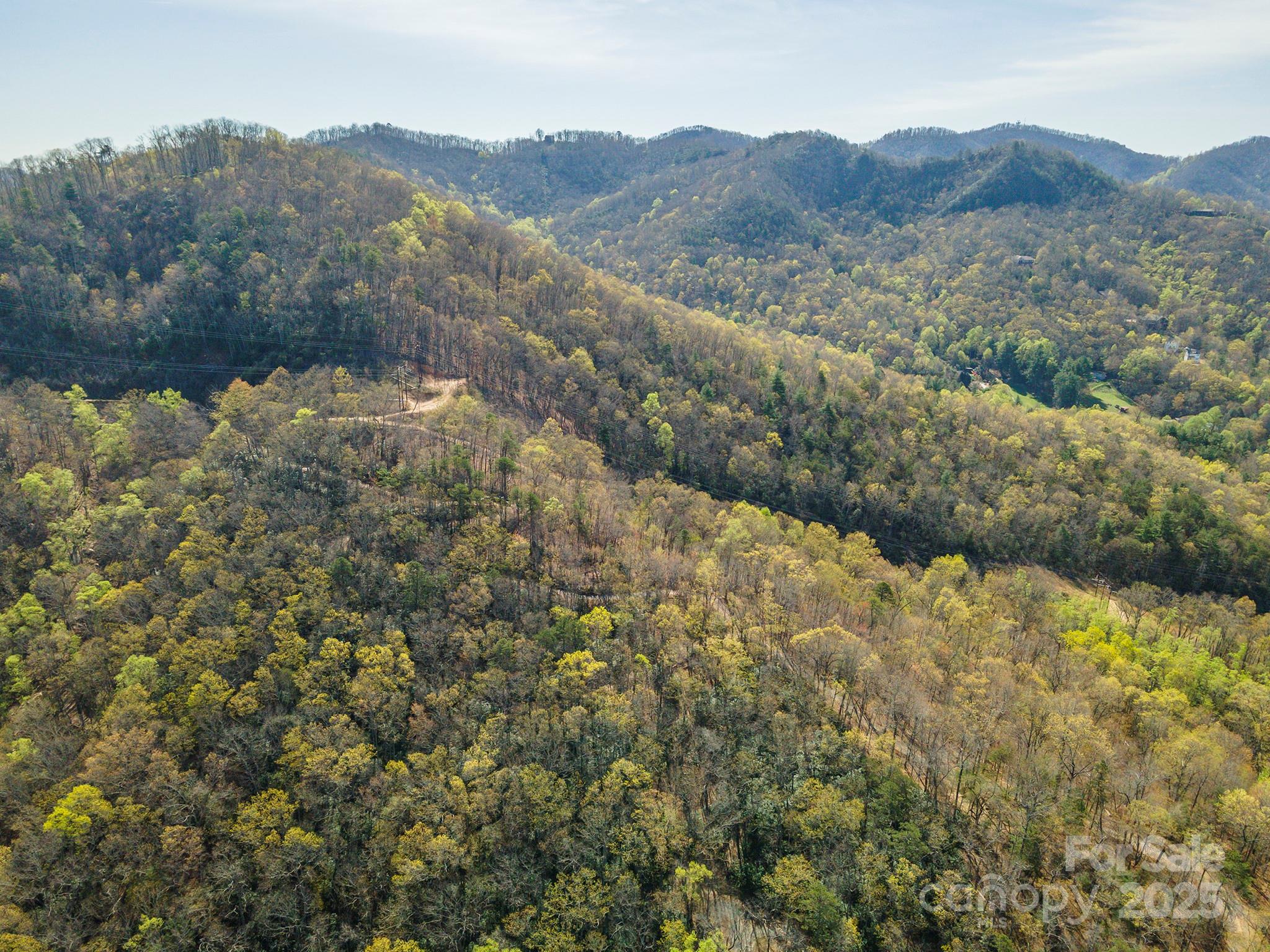 99999 Sunset Drive Black Mountain NC 28711