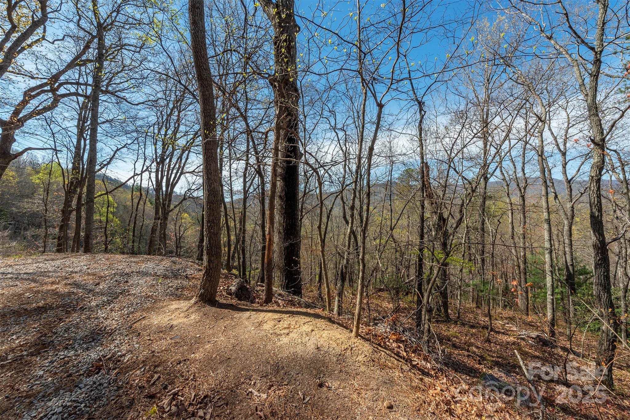 99999 Sunset Drive Black Mountain NC 28711