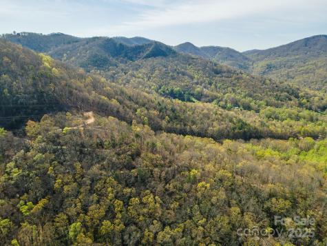 99999 Sunset Drive Black Mountain NC 28711