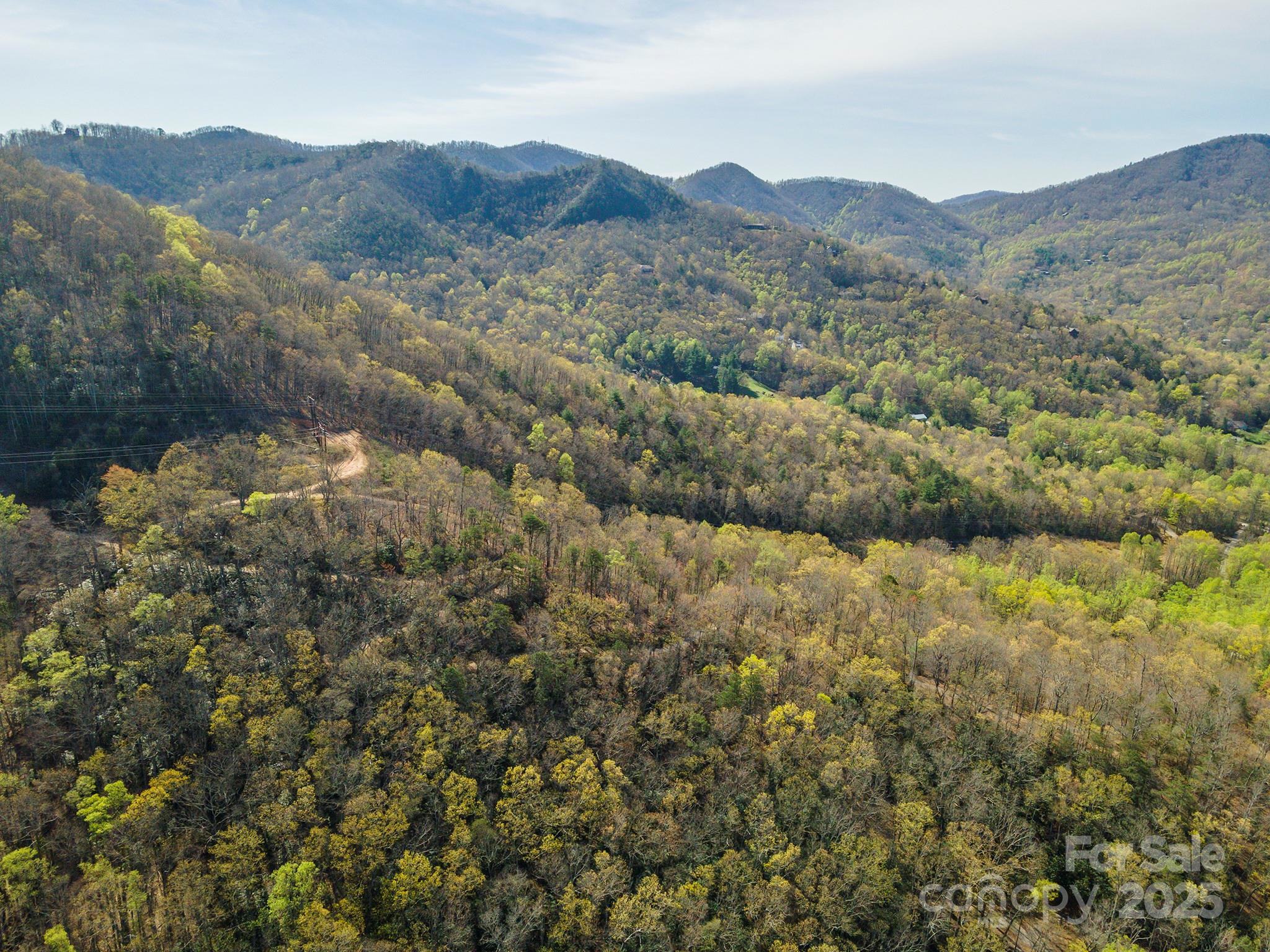 99999 Sunset Drive Black Mountain NC 28711
