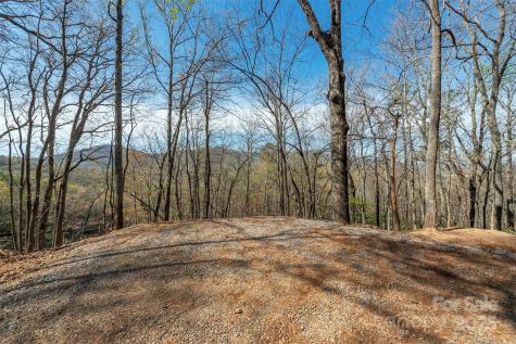 99999 Sunset Drive Black Mountain NC 28711